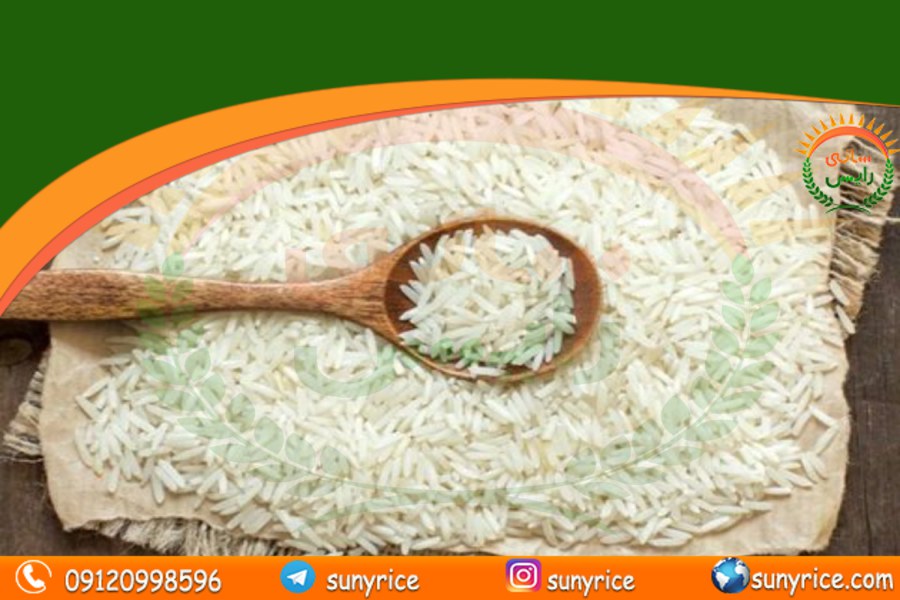 عکس برنج عنبربو