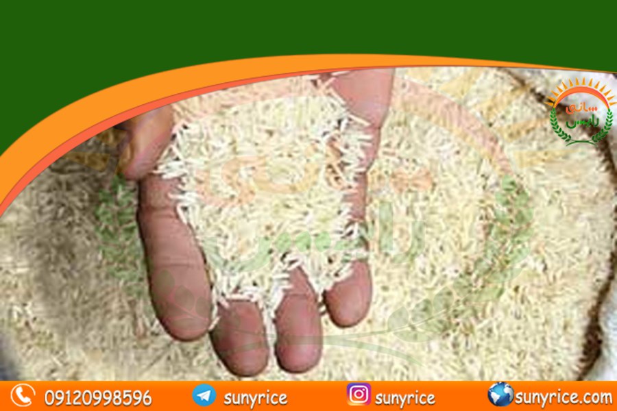 پخش عمده برنج هندی تبریز
