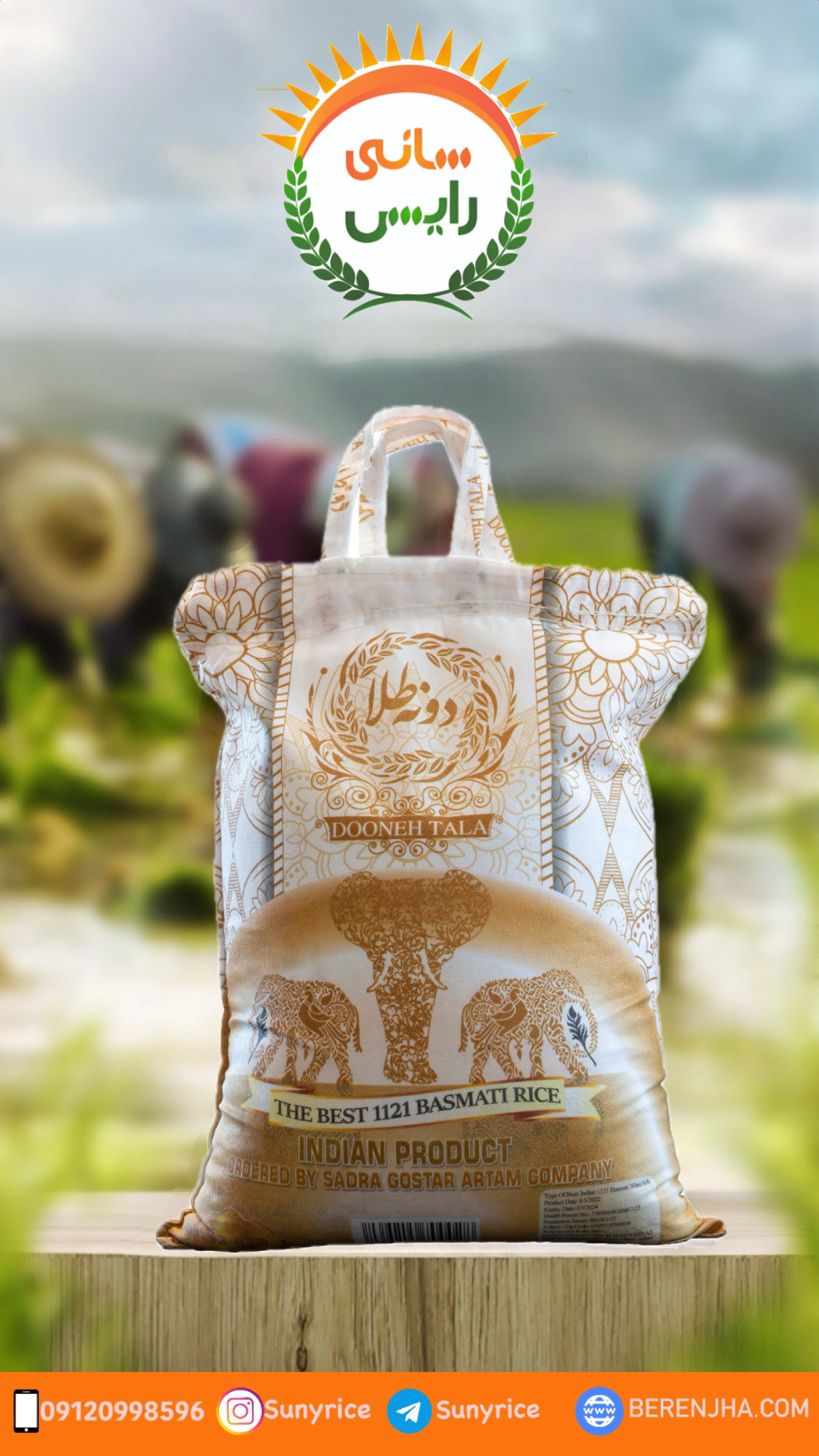 خرید و قیمت روز برنج دونه طلا هندی 1121 باسماتی