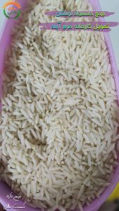 برنج دم سیاه ویسیان