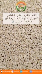 قیمت برنج لرستان 