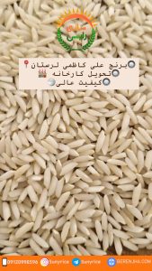 برنج علی کاظمی دورود لرستان